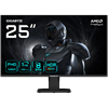 GIGABYTE GS25F14 24.5