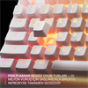 SteelSeries Apex 3 TKL Whisper-Quiet Switch Beyaz Kablolu Gaming Klavye