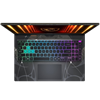 MSI CYBORG 15 B13WGKG-847XTR Core i7-13620H 16GB DDR5 1 TB SSD RTX5070 GDDR7 8GB 15.6