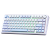 Aula F75 Gray Switch Hot Swap TKL RGB Buz Mavisi Kablosuz Gaming Klavye