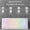 Aula F75 Seiya Switch Hot Swap TKL RGB Desenli Beyaz Kablosuz Gaming Klavye