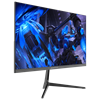 GameBooster Ruvie EF20 23.8'' 200Hz 0.5ms HDMI DP RGB Adaptive Sync HDR10 FHD VA Gaming Monitör