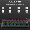 Aula F75 Seiya Switch Hot Swap TKL RGB Desenli Siyah Kablosuz Gaming Klavye
