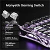 GravaStar Mercury V75 Pro HE RGB Hall Effect Manyetik Switch İngilizce Q Iron Purple Kablolu Gaming Klavye