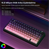 Aula F75 Reaper Switch Hot Swap TKL RGB Gradyan Pembe Kablosuz Mekanik Gaming Klavye