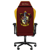 Exvega Andromeda Harry Potter Gryffindor Oyuncu Koltuğu