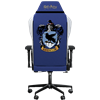 Exvega Andromeda Harry Potter Ravenclaw Oyuncu Koltuğu