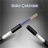 VegGieg 3.5mm AUX RCA Ses Kablosu 10 Metre