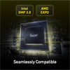 Lexar 16GB THOR 6000MHz CL38 XMP/ EXPO DDR5 Single Kit Ram