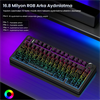 Aula F75 Seiya Switch Hot Swap TKL RGB Desenli Siyah Kablosuz Gaming Klavye