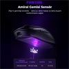 Aula SC800 Lightweight PAW3395 26000 DPI 8000Hz Kablosuz Siyah Gaming Mouse