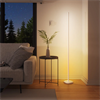 Nanoleaf RGBW Beyaz Dikey Yer Lambası Aydınlatma