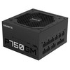 GIGABYTE P750GM 750W 80+ Gold Full Modüler 120mm Fanlı PSU
