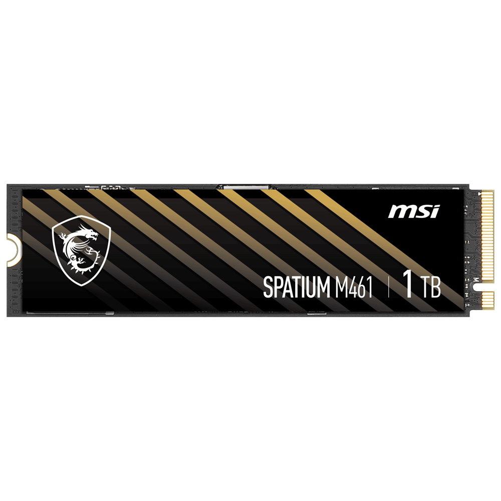 MSI SPATIUM M461 Gen4 M.2 2280 1TB SSD 5000MB Okuma / 3200MB Yazma