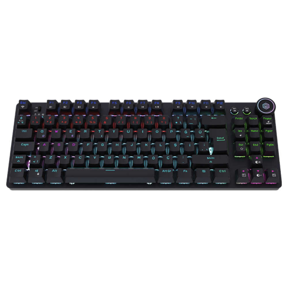 GameBooster Ryba Blue Switch RGB Siyah Mekanik Kablosuz Gaming Klavye