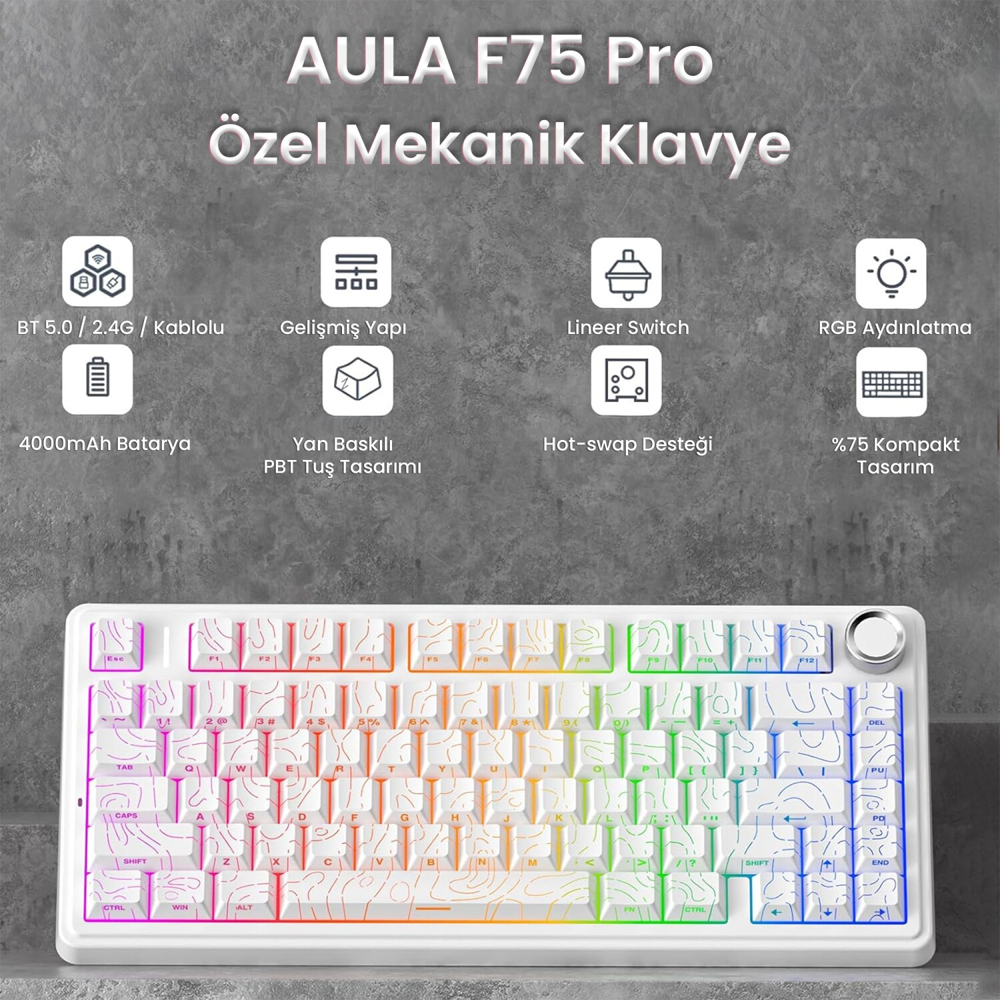 Aula F75 Seiya Switch Hot Swap TKL RGB Desenli Beyaz Kablosuz Gaming Klavye