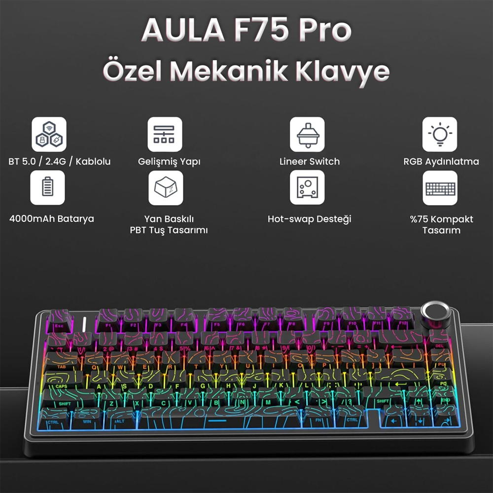 Aula F75 Seiya Switch Hot Swap TKL RGB Desenli Siyah Kablosuz Gaming Klavye