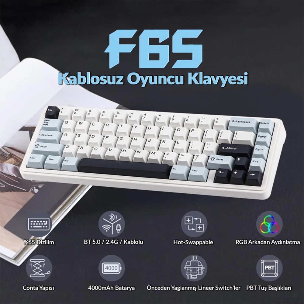 Aula F65 Reaper Switch Hot Swap TKL RGB Buz Mavisi Kablosuz Gaming Klavye