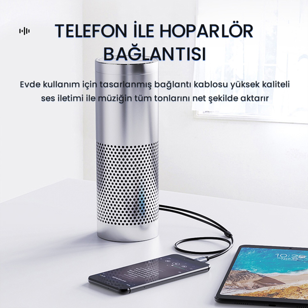 VegGieg Type-C RCA Ses Kablosu 1.5 Metre
