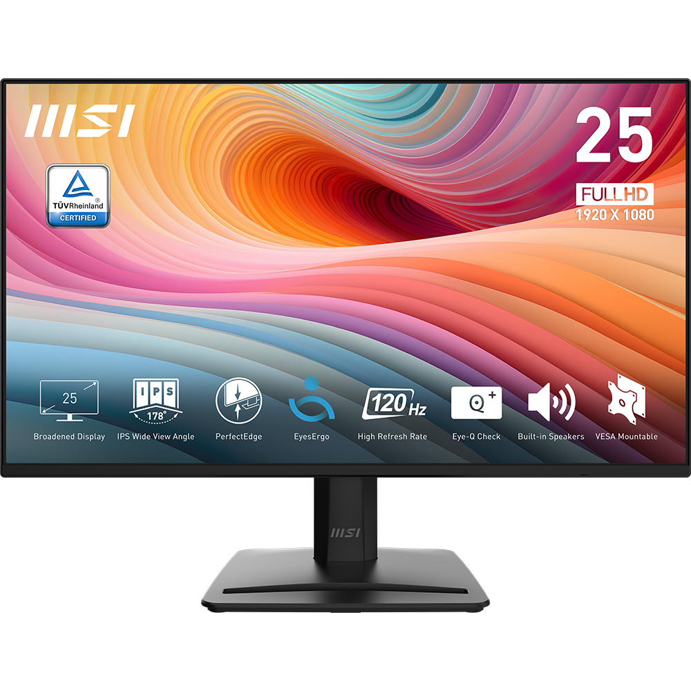 MSI PRO MP252 E2 24.5