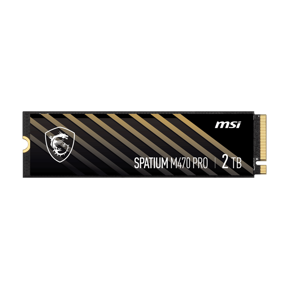 MSI 2TB SPATIUM M470 PRO Gen4 M.2 2280 SSD 6000MB Okuma / 5000MB Yazma görsel 1