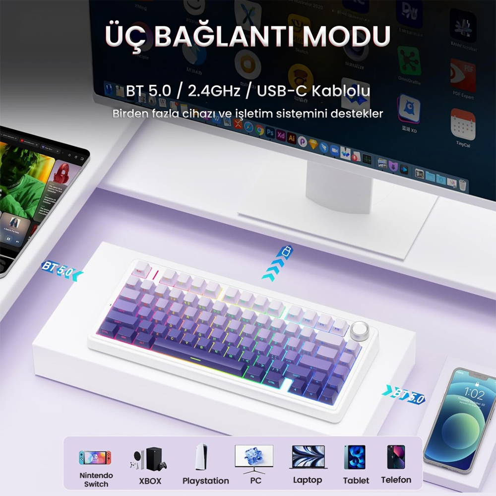 Aula F75 Seiya Switch Hot Swap TKL RGB Mor Kablosuz Gaming Klavye