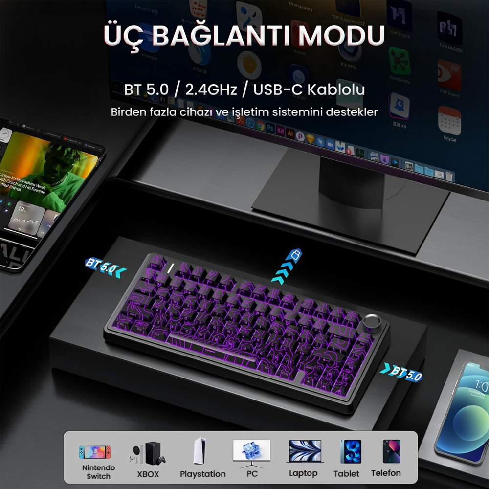 Aula F75 Seiya Switch Hot Swap TKL RGB Desenli Siyah Kablosuz Gaming Klavye