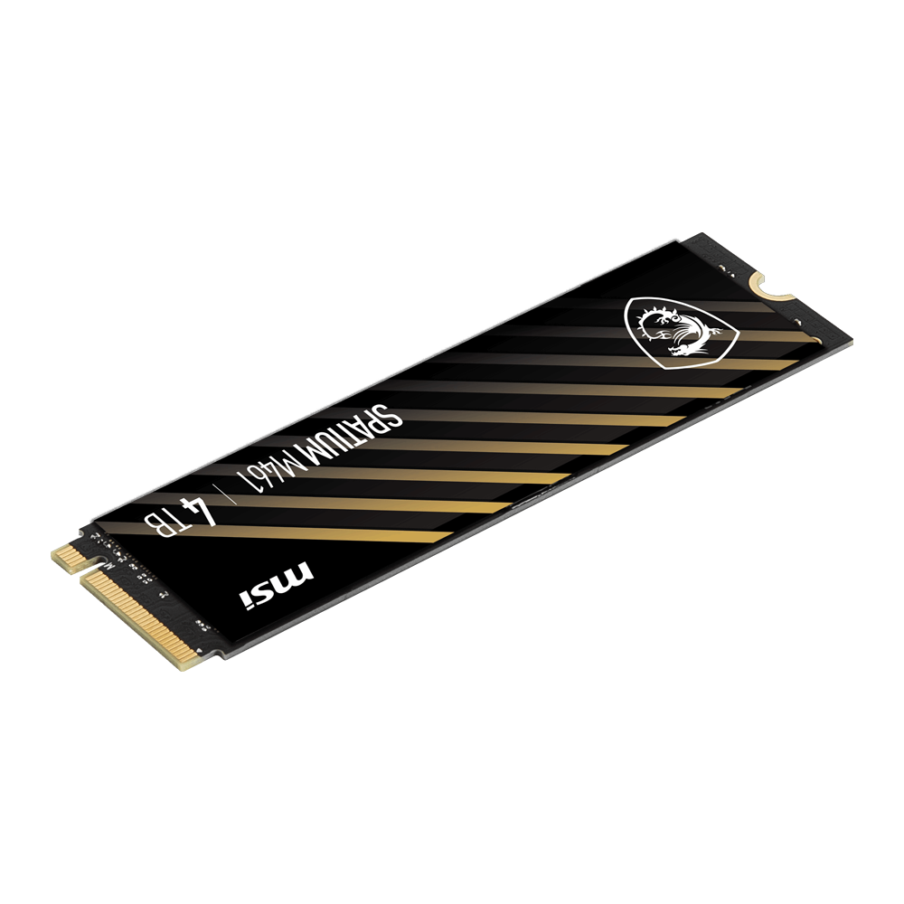 MSI 4TB SPATIUM M461 Gen4 M.2 2280 SSD 5000MB Okuma / 4200MB Yazma