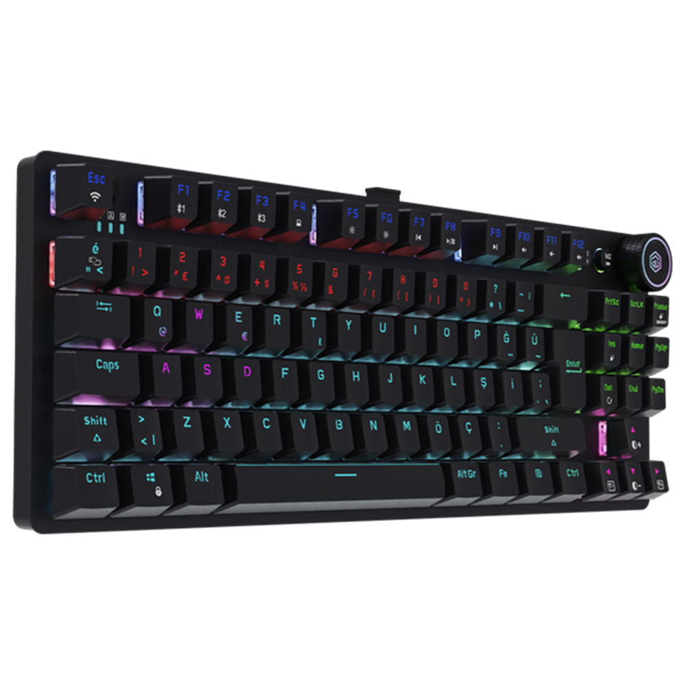 GameBooster Ryba Blue Switch RGB Siyah Mekanik Kablosuz Gaming Klavye