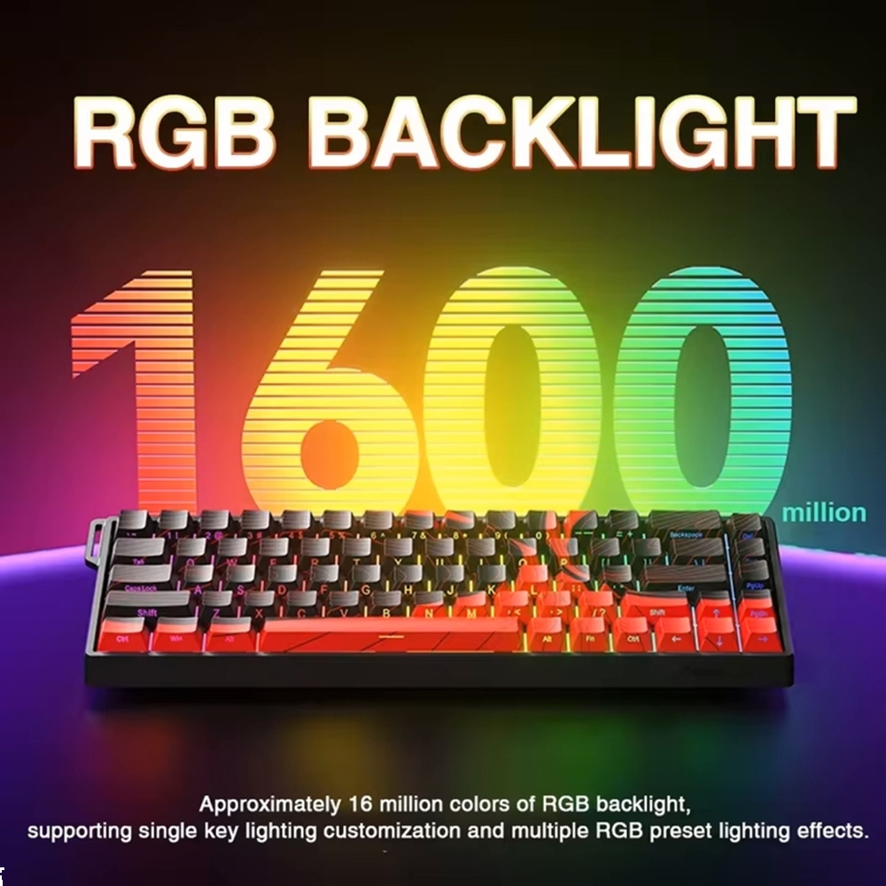 Aula Win68 HE Max Wing Chun Switch Hot Swap TKL RGB Mavi Kablolu Gaming Klavye