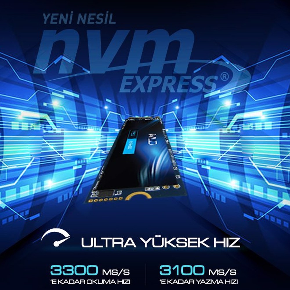 MLD M300 1TB NVME 2280 Gen3 M.2 SSD (3300MB Okuma / 3100MB Yazma)