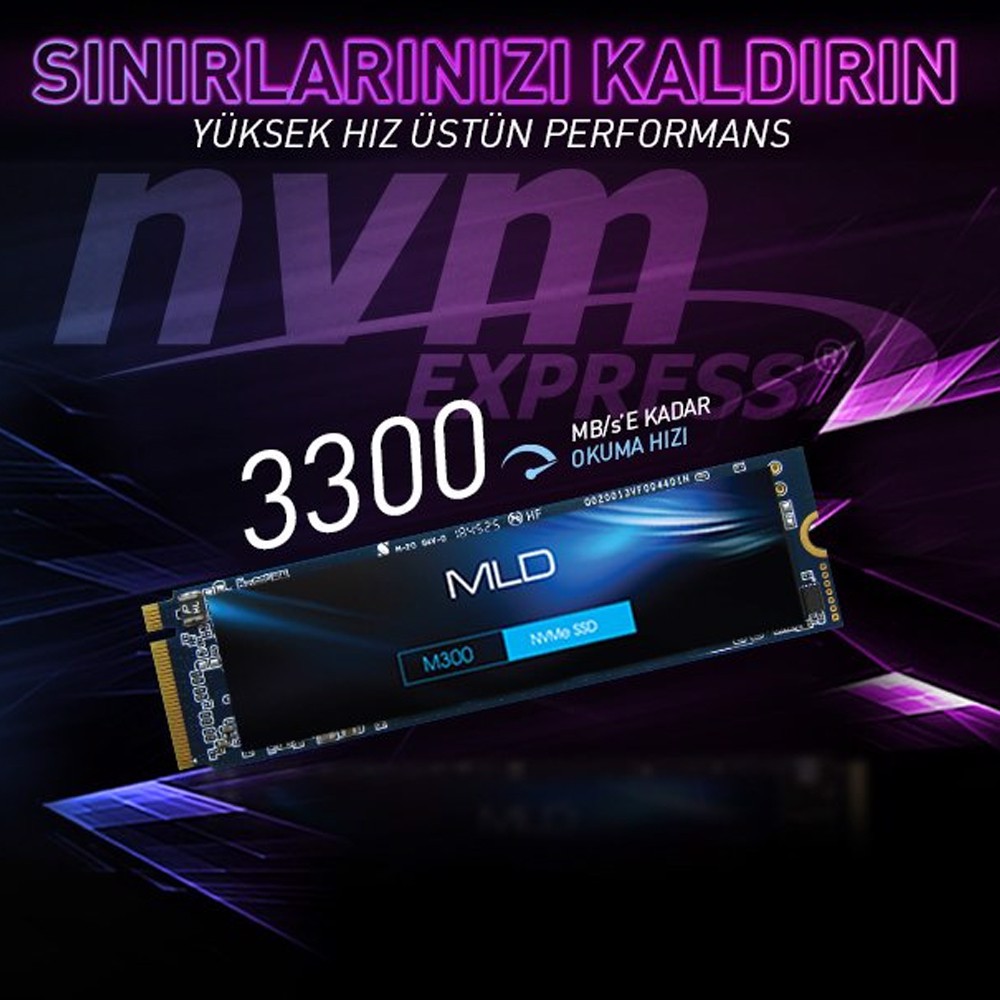 MLD M300 1TB NVME 2280 Gen3 M.2 SSD (3300MB Okuma / 3100MB Yazma)
