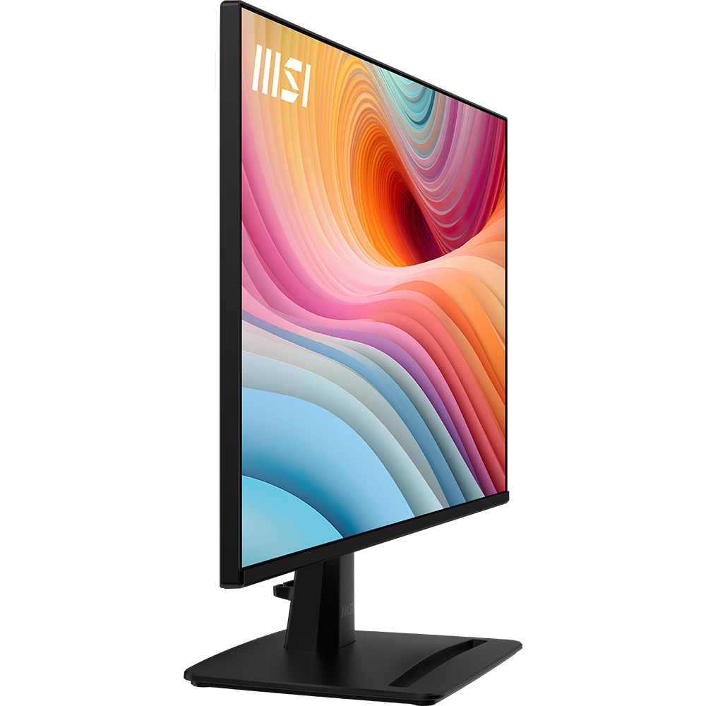 MSI PRO MP252 E2 24.5