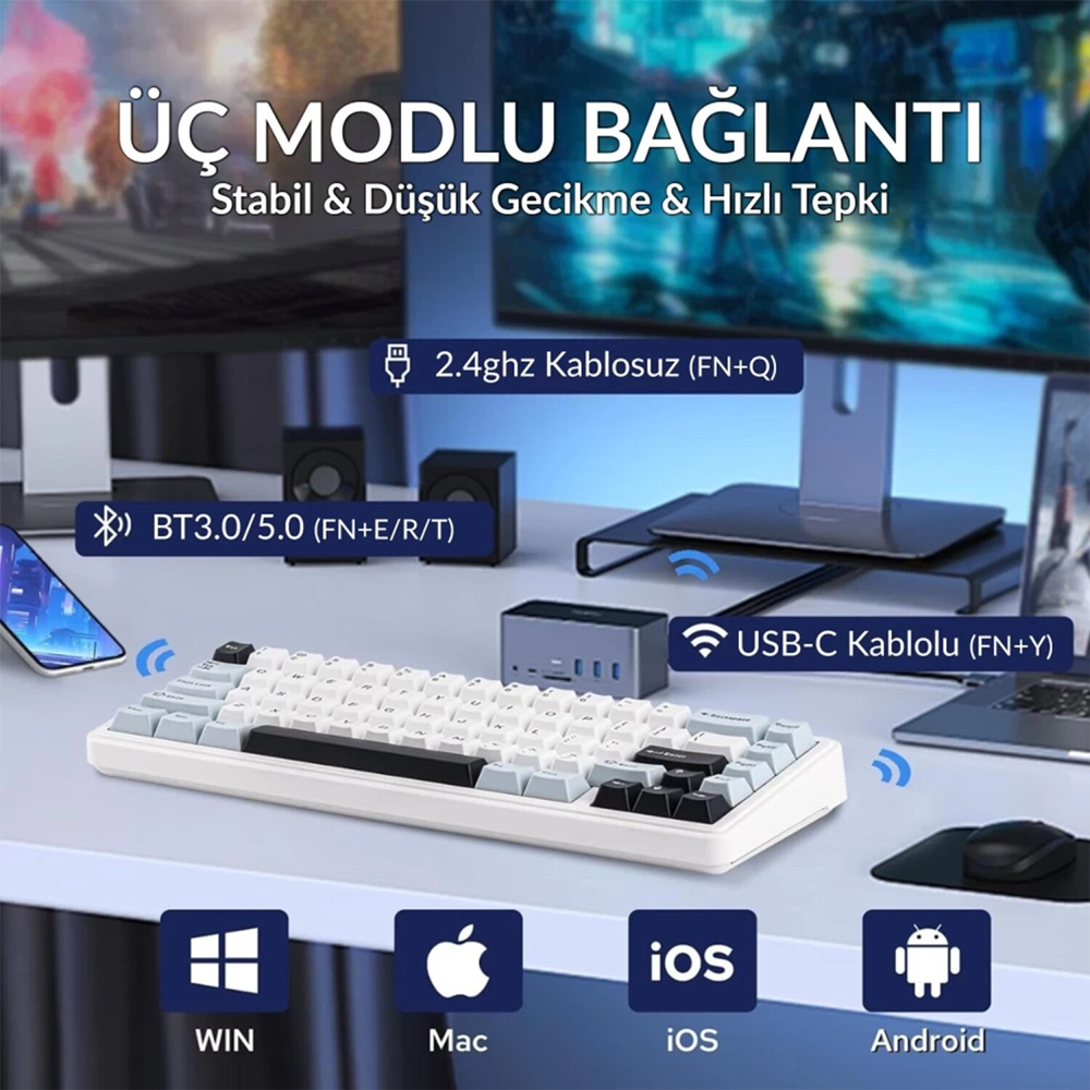 Aula F65 Reaper Switch Hot Swap TKL RGB Buz Mavisi Kablosuz Gaming Klavye