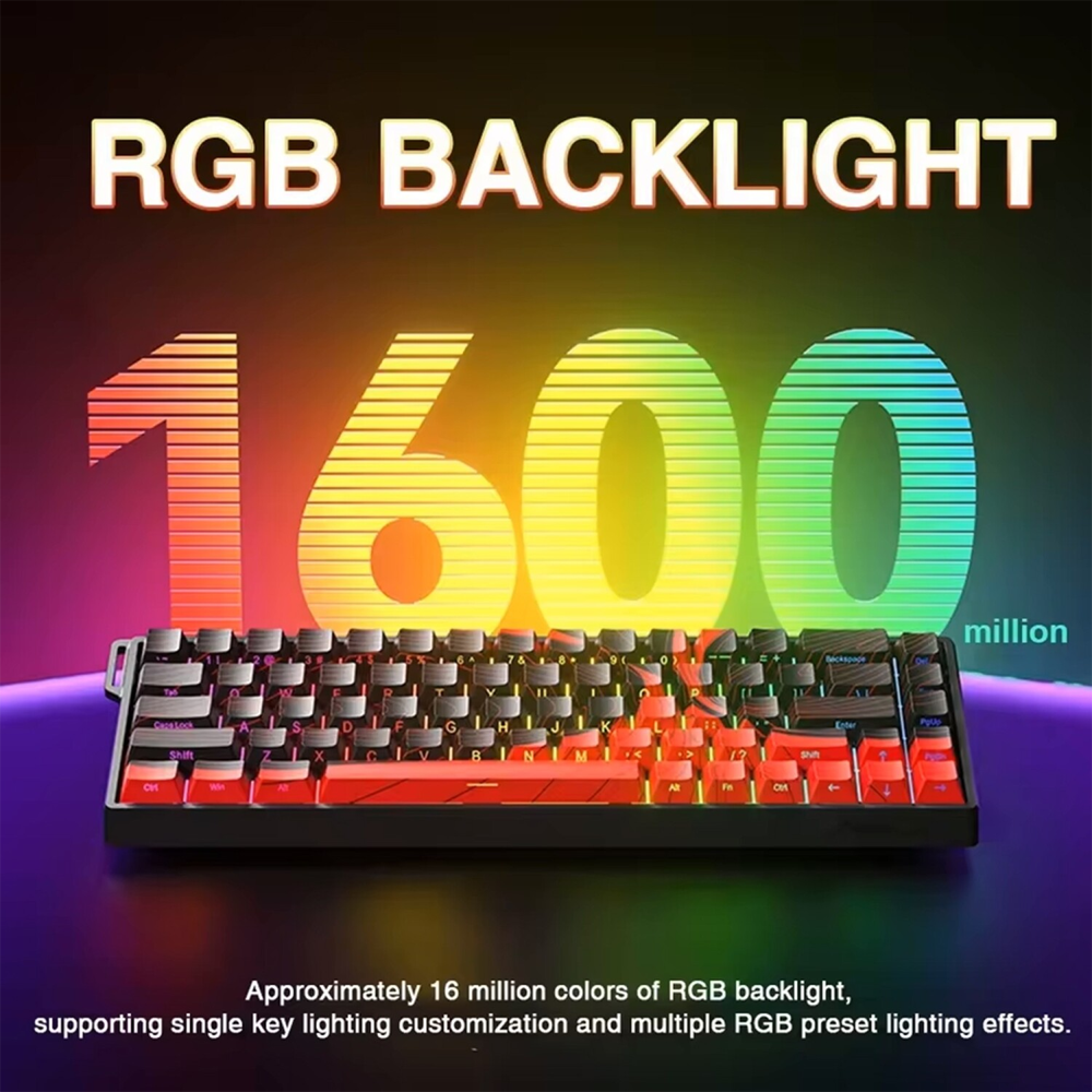 Aula Win60 HE Manyetik Switch Hot Swap TKL RGB Siyah Kablolu Gaming Klavye