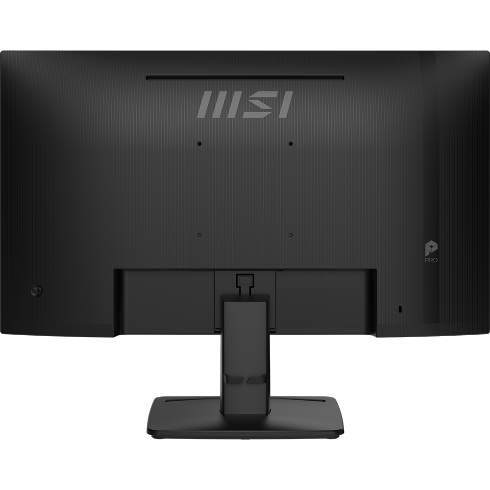 MSI PRO MP252 E2 24.5