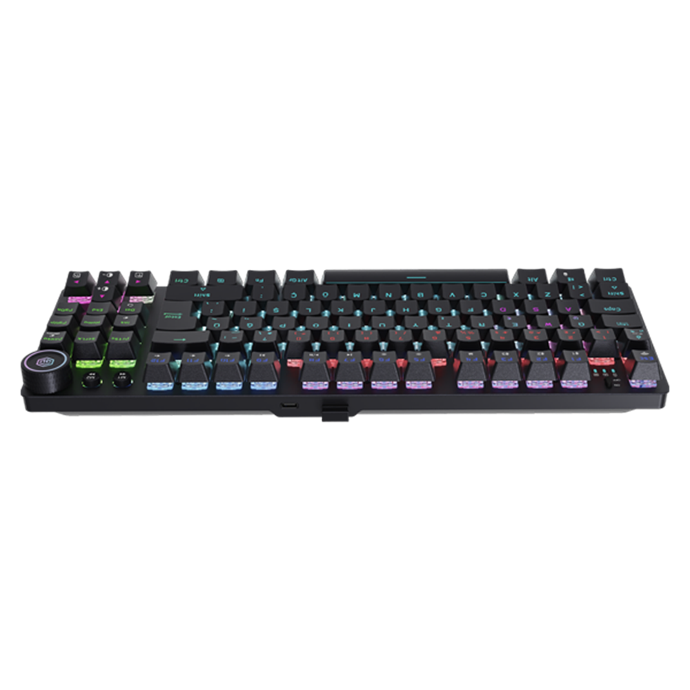 GameBooster Ryba Blue Switch RGB Siyah Mekanik Kablosuz Gaming Klavye