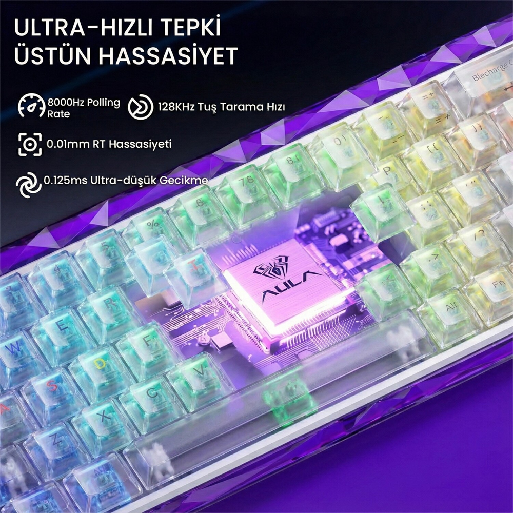 Aula Hero 68 HE Silver Switch Hot Swap TKL RGB Neon Şeffaf Beyaz Kablolu Gaming Klavye