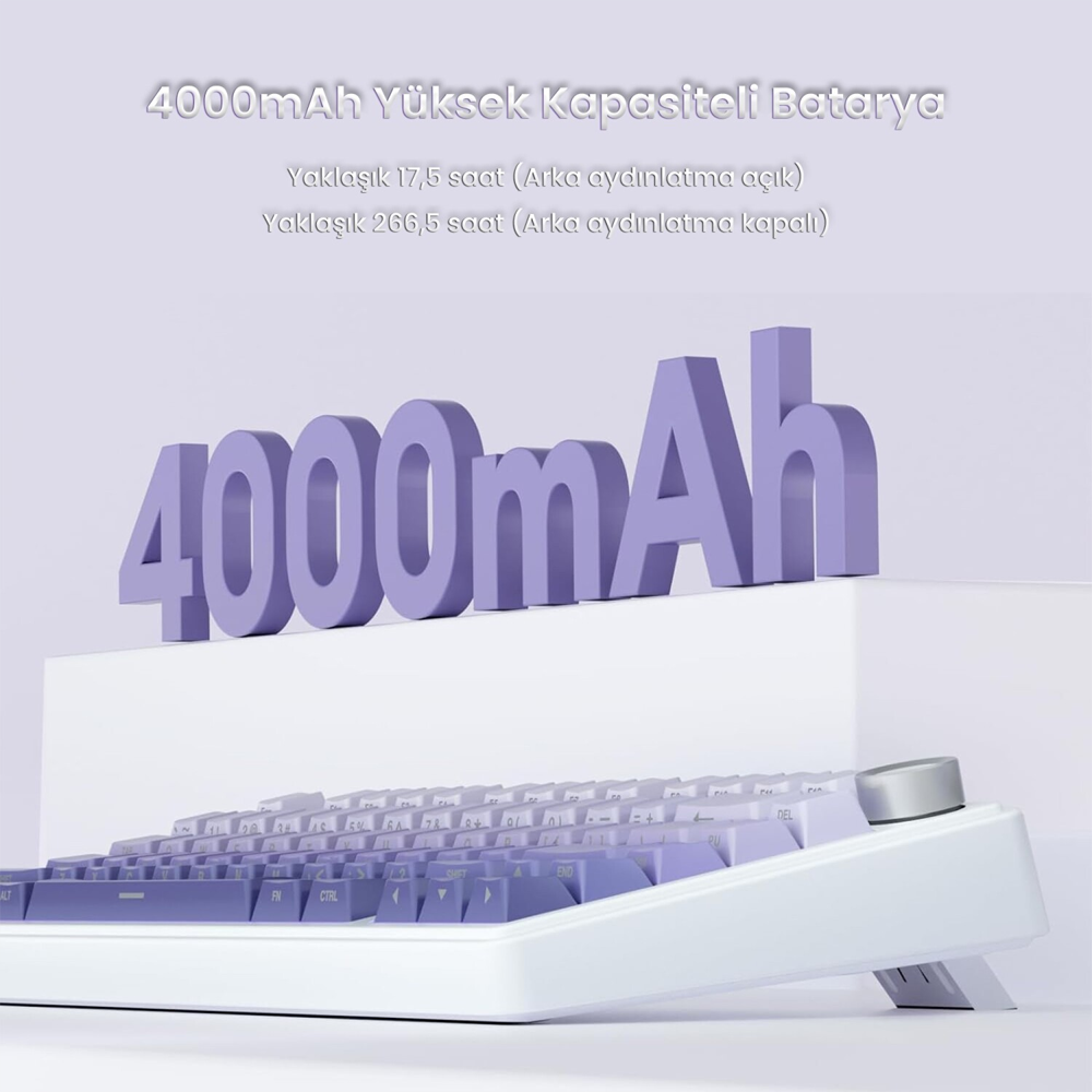 Aula F75 Seiya Switch Hot Swap TKL RGB Mor Kablosuz Gaming Klavye