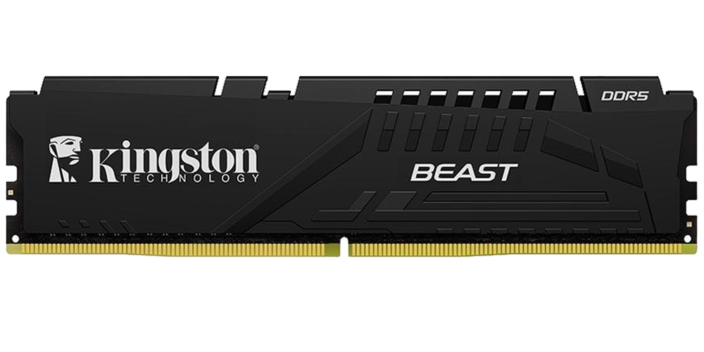 Kingston FURY Beast DDR5 Black