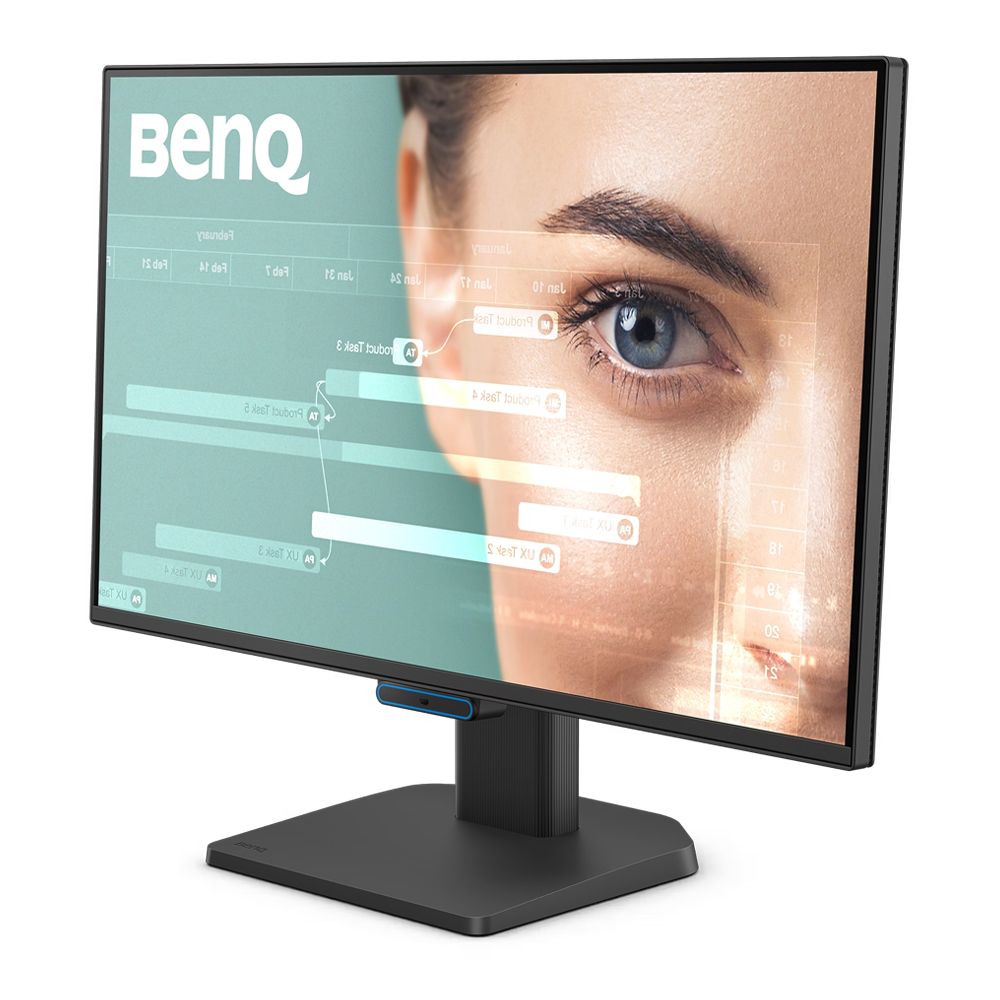 BenQ 24