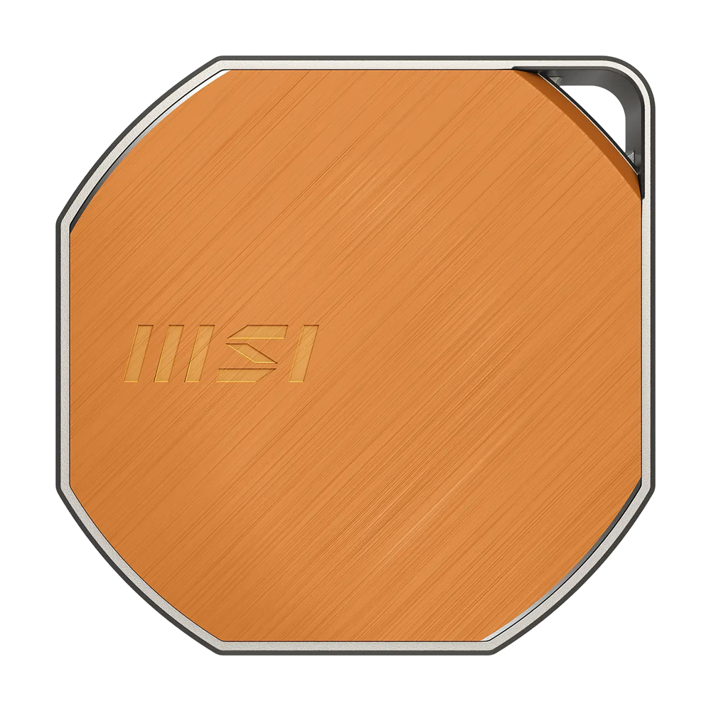 MSI DATAMAG LITE 40GBPS 1TB Type-C Taşınabilir SSD 4000MB Okuma/3600MB Yazma
