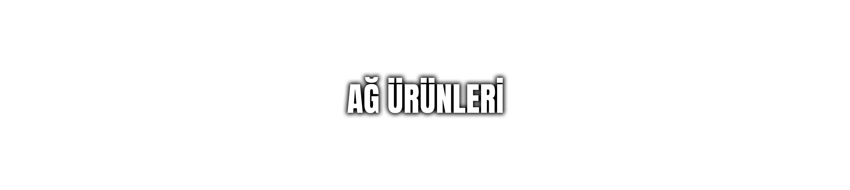 Ağ Ürünleri