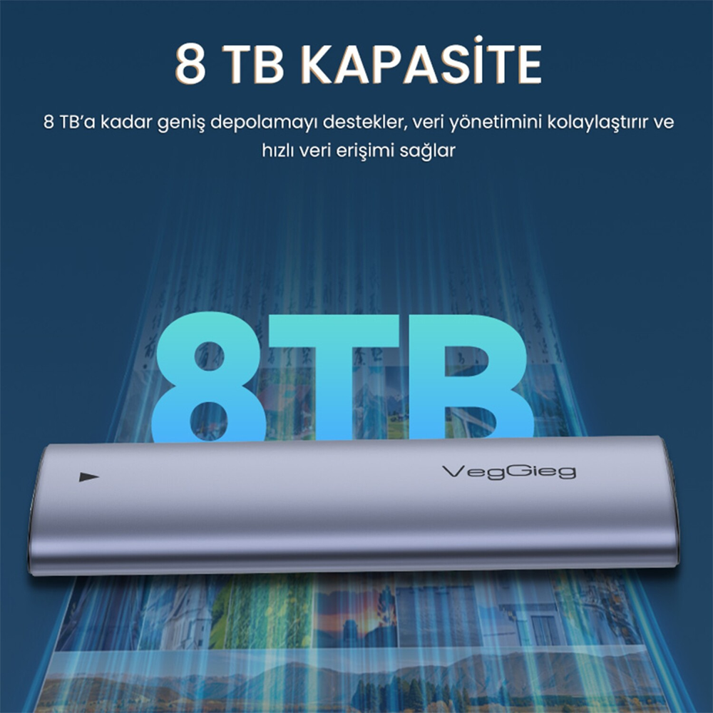 VegGieg 10Gbps USB 3.1 GeN2 M.2 SATA NGFF NVME SSD Disk Kutusu
