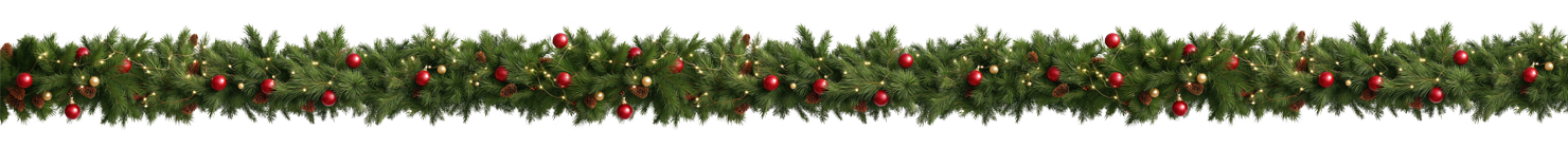 agacsus