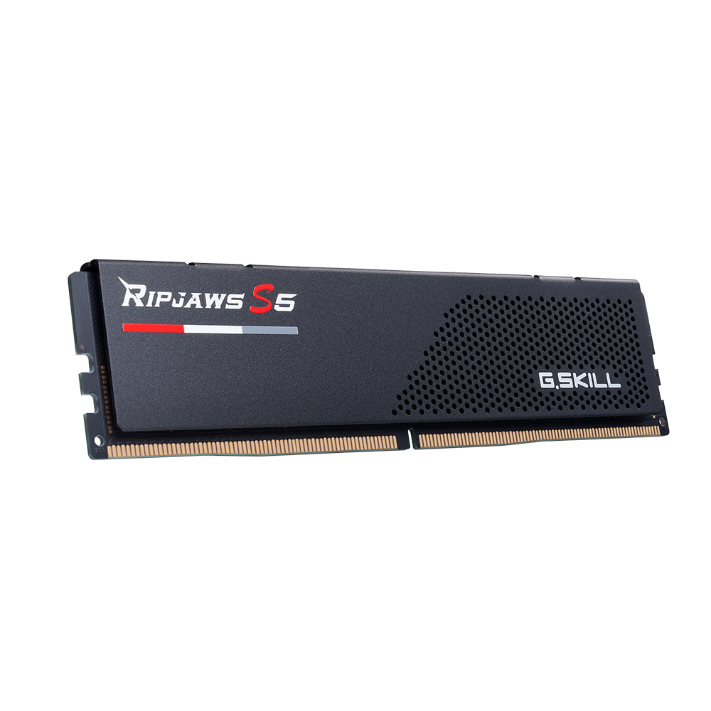 GSKILL 16GB Ripjaws S5 6000Mhz CL36 EXPO/XMP DDR5 Siyah Single Kit Ram