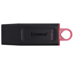 Kingston 256GB DataTraveler Exodia USB 3.2 USB Bellek