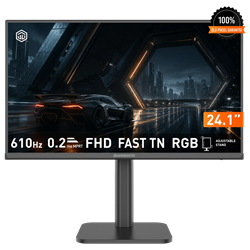GameBooster Elitra FF60 24.1'' 610Hz 0.2ms HDMI DP RGB Adaptive Sync HDR10 Pivot FHD Fast TN Gaming Monitör