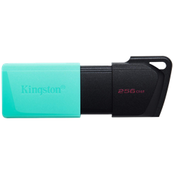 Kingston 256GB DataTraveler Exodia M USB3.2 Flash Bellek
