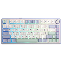 Aula F75 Reaper Switch Hot Swap TKL RGB Pastel Kablosuz Gaming Klavye
